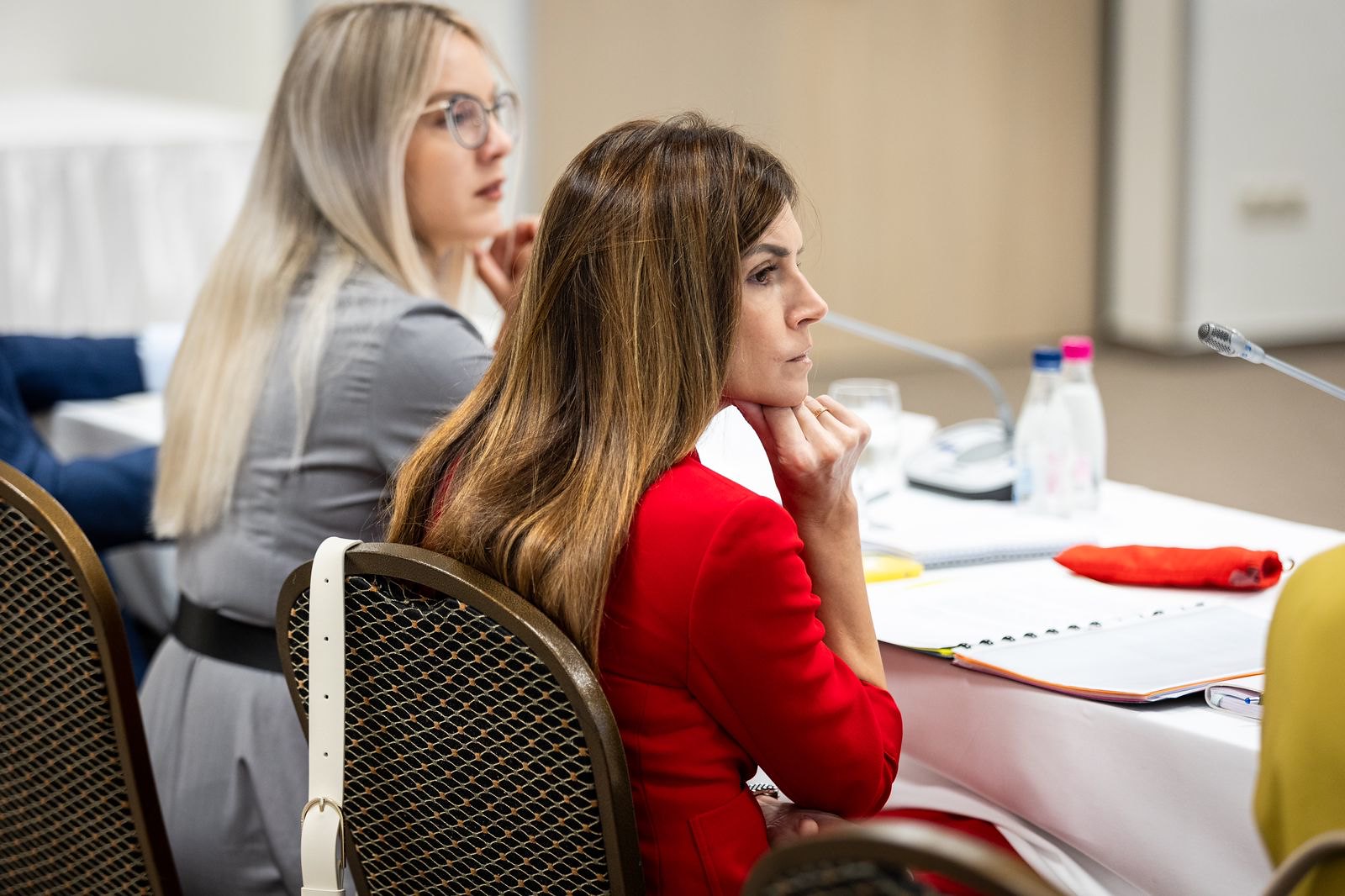 Crna Gora očekuje da se do kraja mađarskog predsjedavanja održi Međuvladina konferencija i zatvore 4 pregovaračka poglavlja