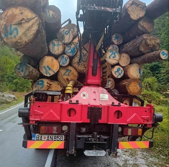 Uprava: Prevozio čamove trupce za koje nije posjedovao valjanu dokumentaciju