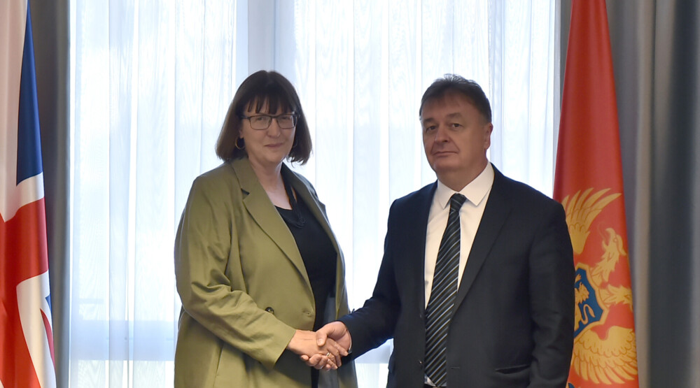 Aleksić sa britanskom ambasadorkom o saradnji u obrazovanju, nauci i kulturi