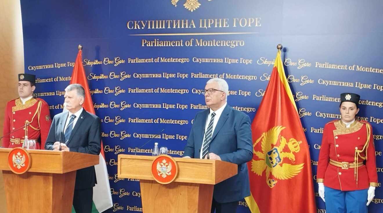 Mandić sa mađarskim predsjednikom Skupštine: Jaka EU se može ostvariti samo ako cijeni jake nacionalne i hrišćanske vrijednosti