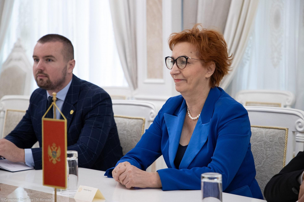 Popović: Veoma je teško motivisati mlade žene da se bave politikom, plaše se da bi mogle biti meta prijetnji
