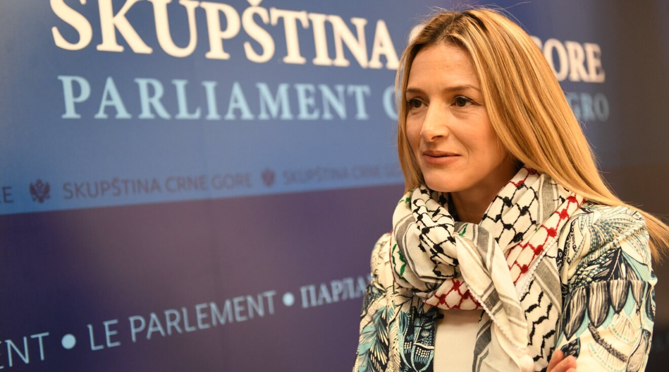 Čudni kriterijumi Strujić Harbić: Ubijanje djece, žena, staraca i drugih civila u Gazi je ratni zločin, a ubijanje samo muškaraca u Srebrenici genocid