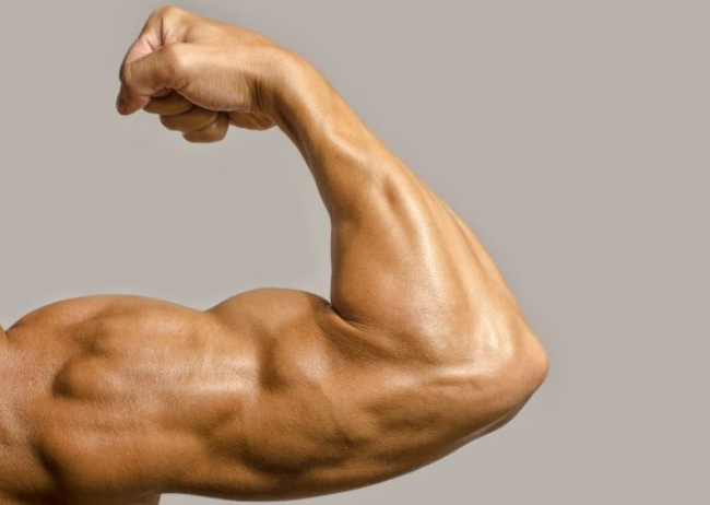 Muškarcima bitniji biceps nego spermatozoidi, polovina mladića aseksualna
