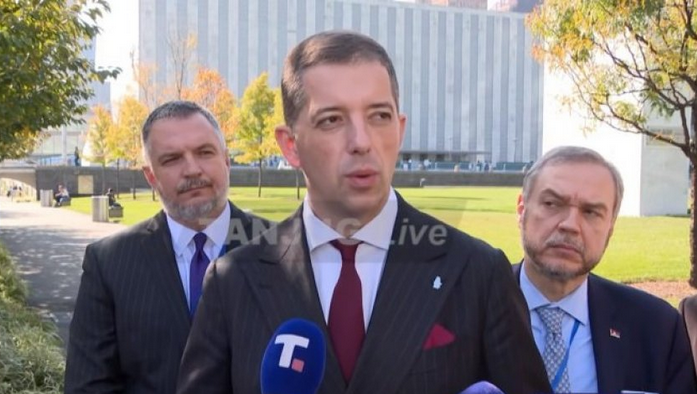 Đurić: Gervala Švarc kao građanka Srbije ne treba na takav način da govori o Vučiću koji je, prema međunarodnom pravu, i njen predsjednik
