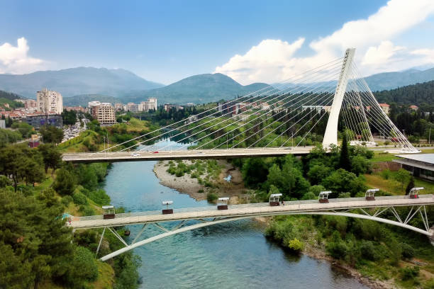 Starost stanovništva u Crnoj Gori u prosjeku 38,8 godina