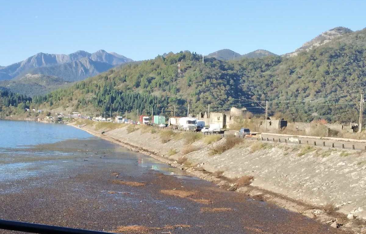 Saobraćajna nezgoda: Automobil sletio u Skadarsko jezero, vozač teško povrijeđen