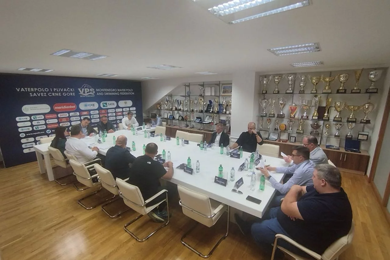 Predsjednik VPSCG se bira u novembru