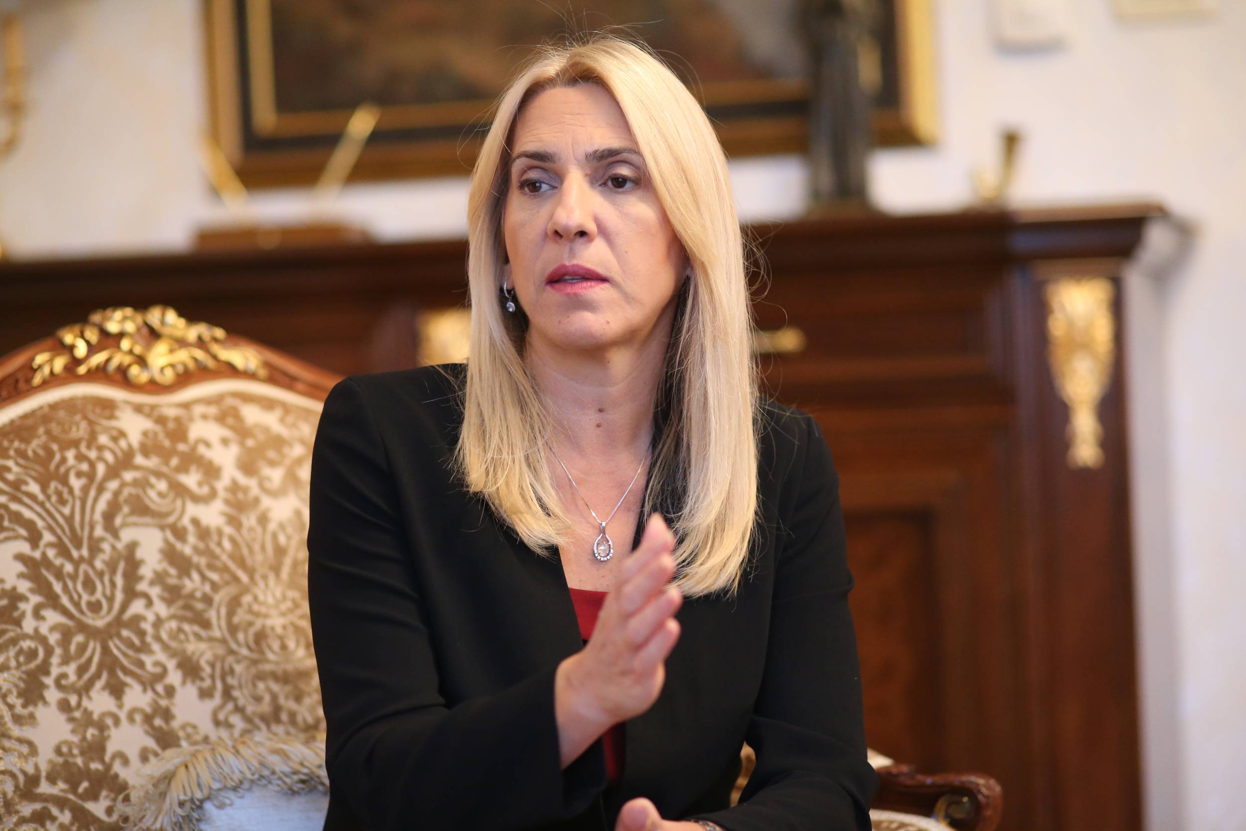 Cvijanović: BiH zaglavljena u sopstvenom neuspjehu, to žele bošnjački političari, a ne Srbija