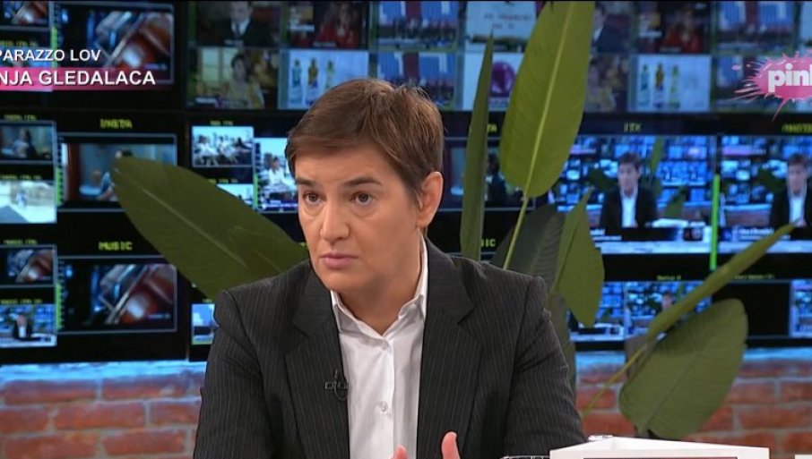 Brnabić: Vidjelo se da na sinoćnjem skupu da ljudi tu nisu došli zbog tuge i empatije nego zbog nasilja, tu su bile baklje, uriniranje, fekalije, gaženje zastave, paljenje Gradske kuće