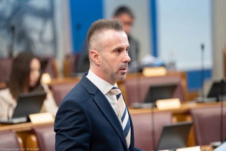 Bogdanović: Naš cilj je jasan, organizovati odgovornu parlamentanu istragu u slučajevima obračuna države sa pojedincima