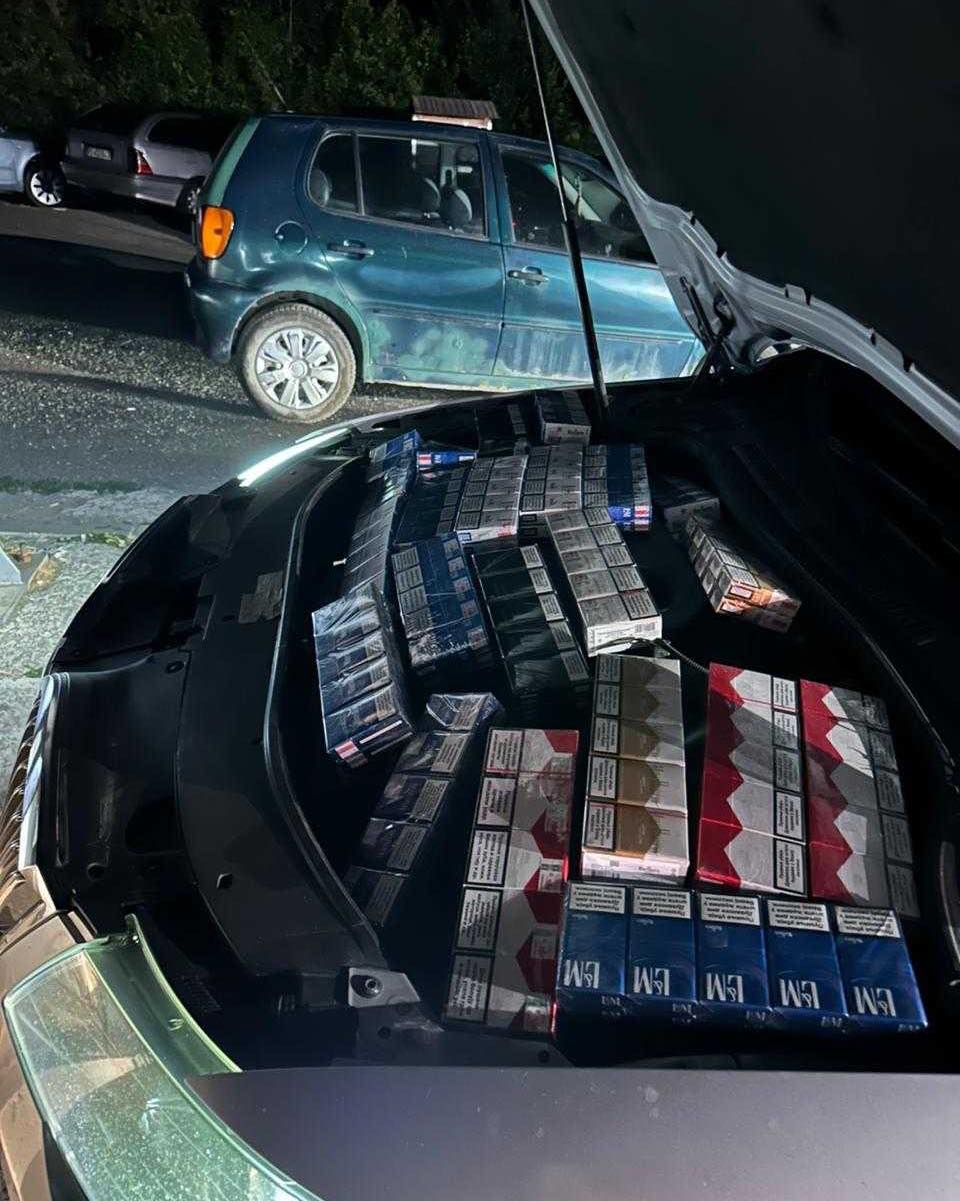 Carinici oduzeli robu vrijednu više od 212 hiljada evra