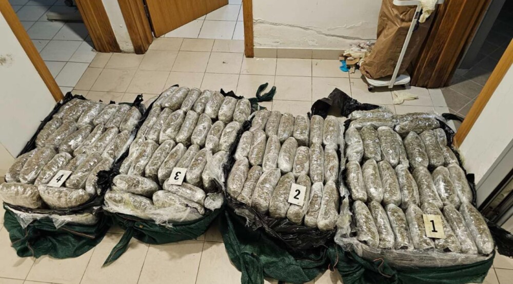 Policija učestvovala u Interpolovoj operaciji: Zaplijenjeno 95 kilograma marihuane, identikovano pet žrtava trgovine ljudima