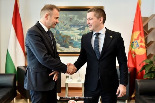 Bečić: Ubjedljivo najuspješnija godina Crne Gore od početka pregovaračkog procesa sa EU
