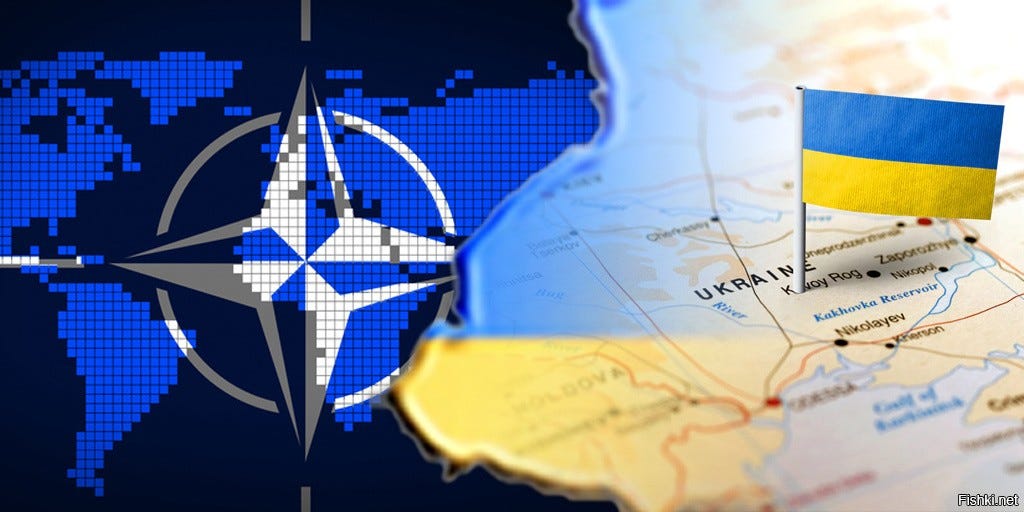 Ukrajina neće prihvatiti nikakvu alternativu punopravnom članstvu u NATO-u