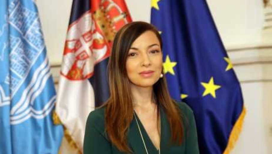 Mesarović: Srbija će stati na put nasilju Đilasove žute bande