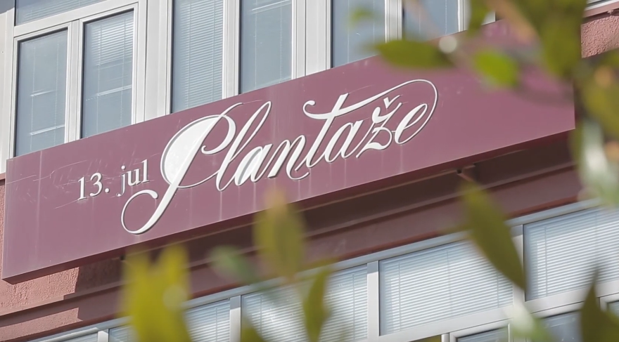 PLANTAŽE