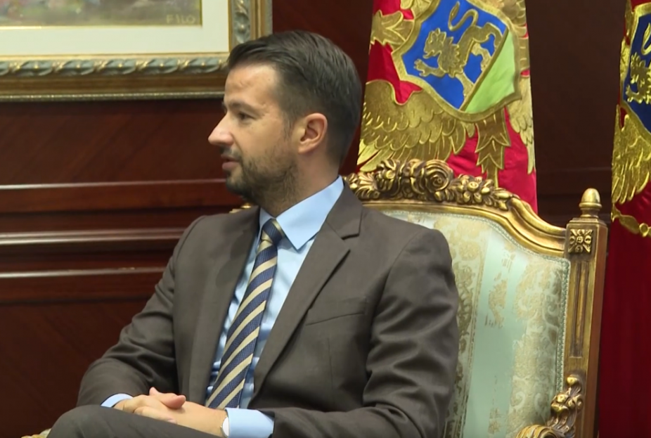Screenshot 2024-12-15 at 07-53-05 Predsjednik Crne Gore Jakov Milatović primio britanskog ministra za Evropu Lea Dokertija – YouTube