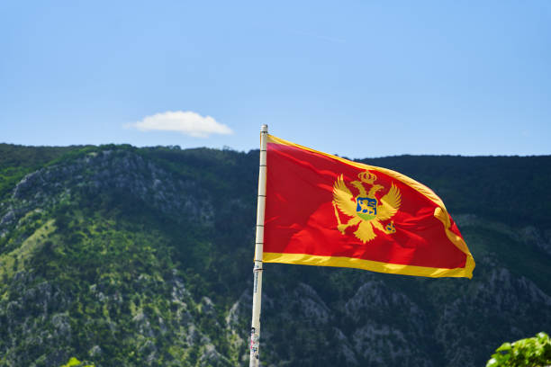 Nacija, greškom?