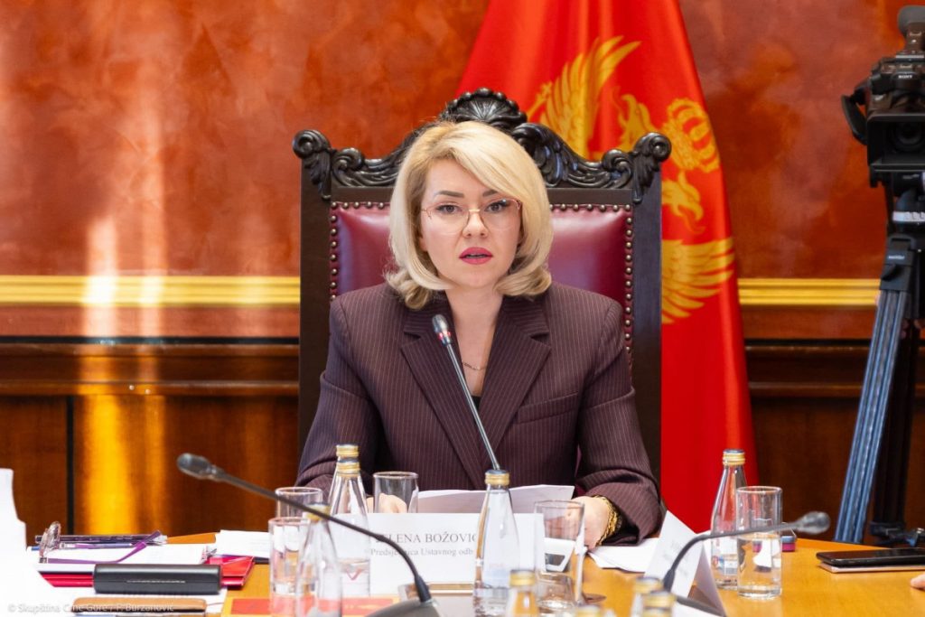Oštećen automobil Jelene Božović: Sumnja da je u pitanju nastavak organizovane hajke „siledžija iz DPS-a“
