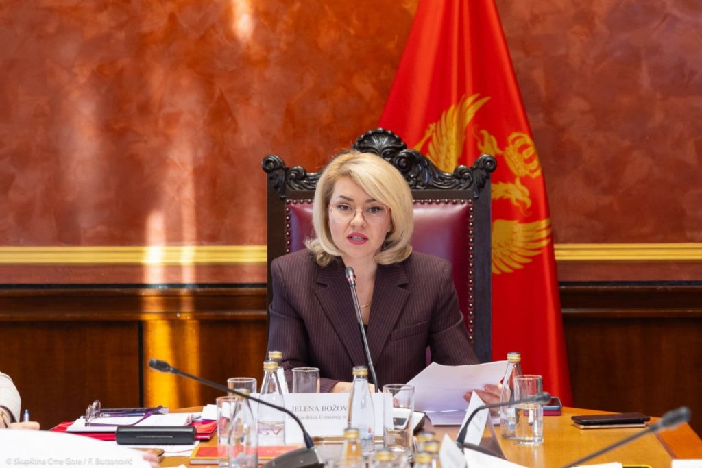 Božović o mišljenju Venecijanske komisije: Dokazano da je DPS odgovoran za opstrukcije, a da je Ustavni odbor je branio pravni poredak