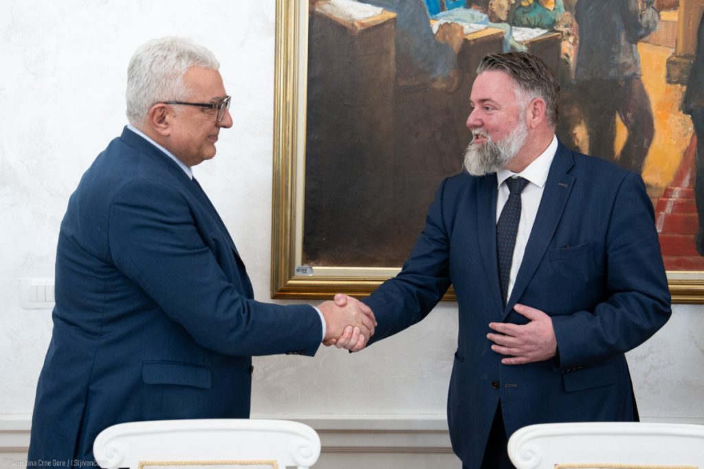 Mandić sa šefom Misije OEBS-a: Crna Gora ide ka evropskom cilju, možemo da završimo posao do kraja mandata