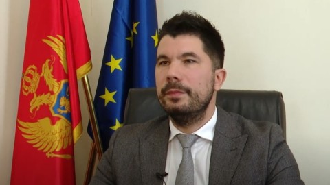 Radonjić: Istorijska prilika da do 2028. budemo dio EU