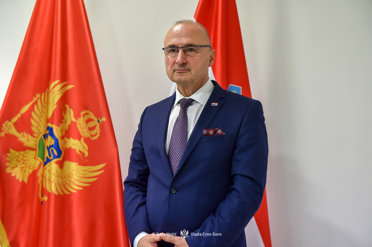 Goran Grlić Radman
