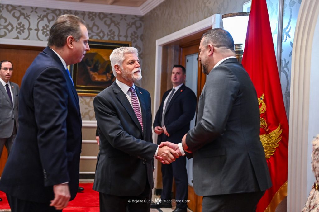 Ivanović se sastao sa Pavelom: Češka Republika ostaje snažan partner Crnoj Gori