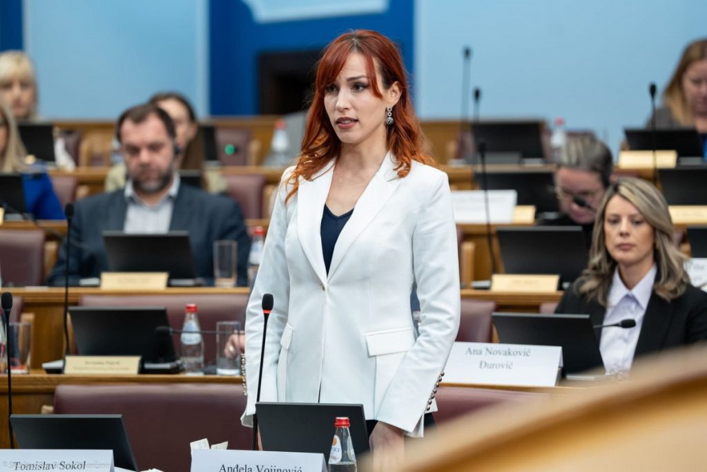 Vojinović: Visoke pozicije u policiji i tajnim službama zauzimali su ljudi sa direktnim ili indirektnim vezama sa kriminalnim organizacijama