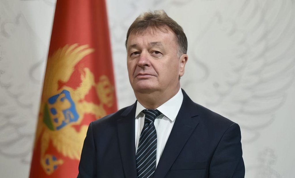 Aleksić: Srpski jezik mora imati status koji mu pripada