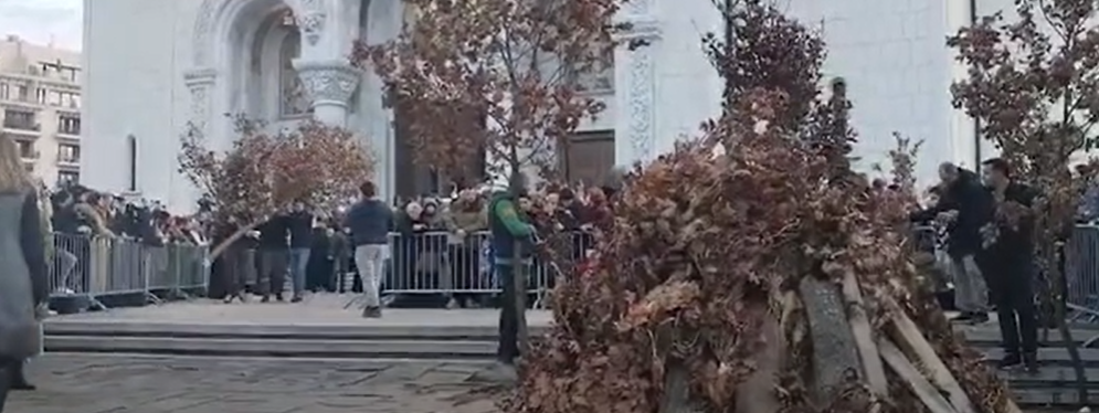 Šta se radi sa badnjakom poslije Božića?