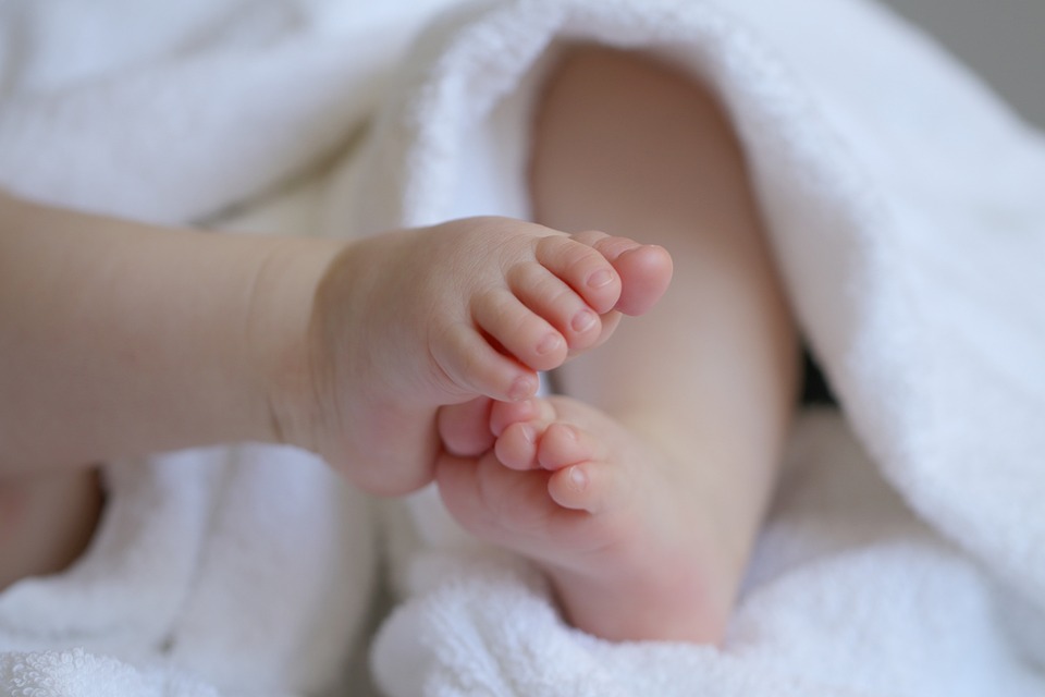 bebe