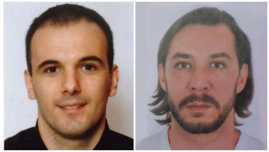 dedović i stamatović