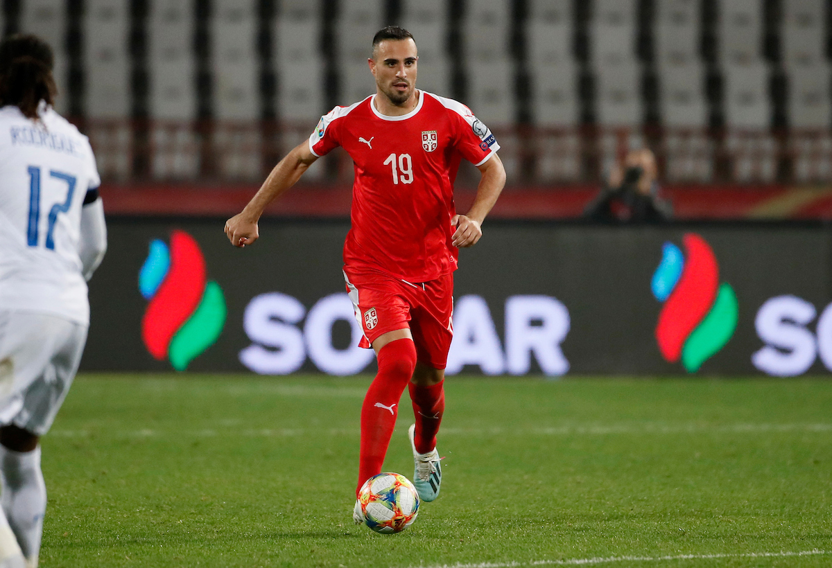 nikola maksimović