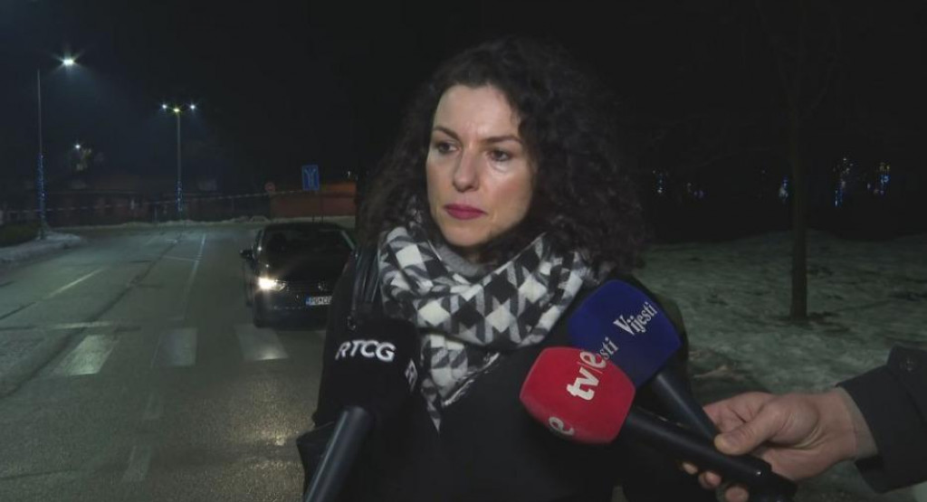 Nastić: Ubistva počinjena na pet lokacija, stradalo 12 osoba i 13. počinilac