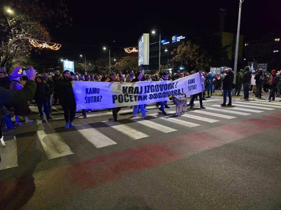 Zašto nemam želudac da odem na protest
