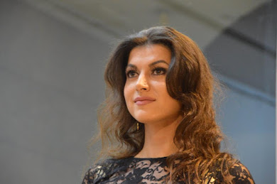 Marija Ristić: Umjetnost nije samo jedna „ideja“, već sistem ideala, prakse i institucija