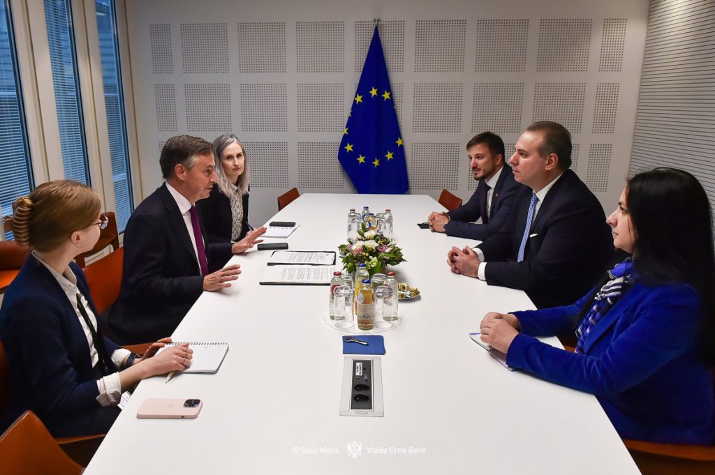Poslanici Evropskog parlamenta imaju poruke za opoziciju; Na sastanku sa Ivanovićem poručili – Prevazići partijske interese i učiniti sve da do 2028. uđemo u EU