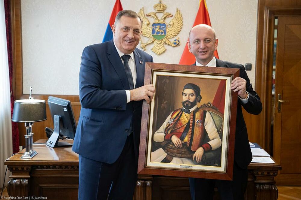 Knežević: Presuda Dodiku je pucanj u Dejtonski sporazum, zaslužuje jedinstven i snažan odgovor