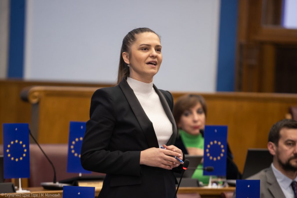 Andrić: Povećanje kvote za žene na 40% mora biti dio izborne reforme