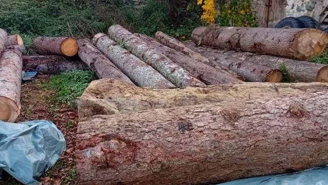 Preko 10.500 zahtjeva za obeštećenje drvoprerađivača, obrađeno tek pola