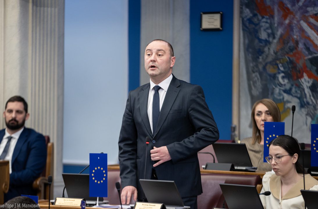 velimir djokovic