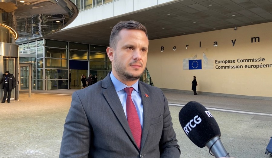 Zenović: Ambicija Crne Gore da postane članica EU do 2028. godine je i dalje realan cilj