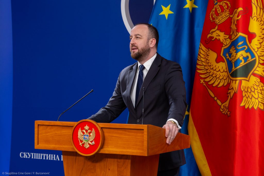 Nikolić: Čemu žurba, digli ste cijelu Crnu Goru i Ulcinj na noge