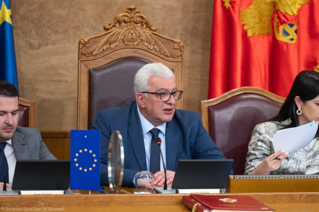 Mandić: Raspisani javni konkursi za izbor članova savjeta AMU i RTCG