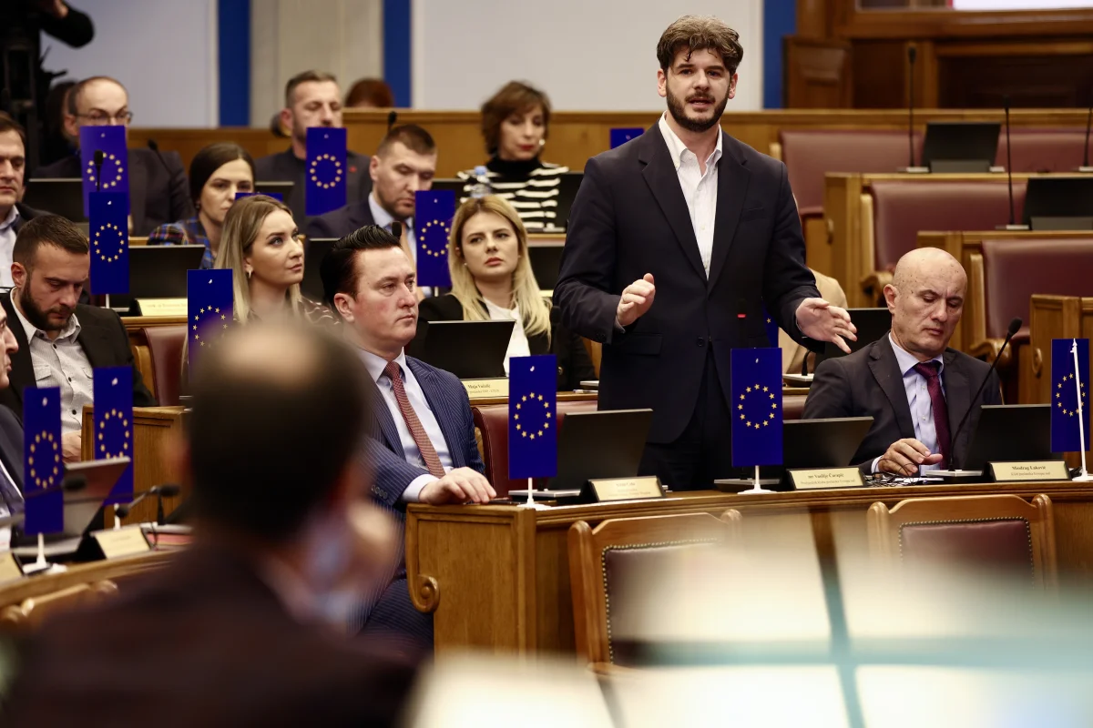 čarapić