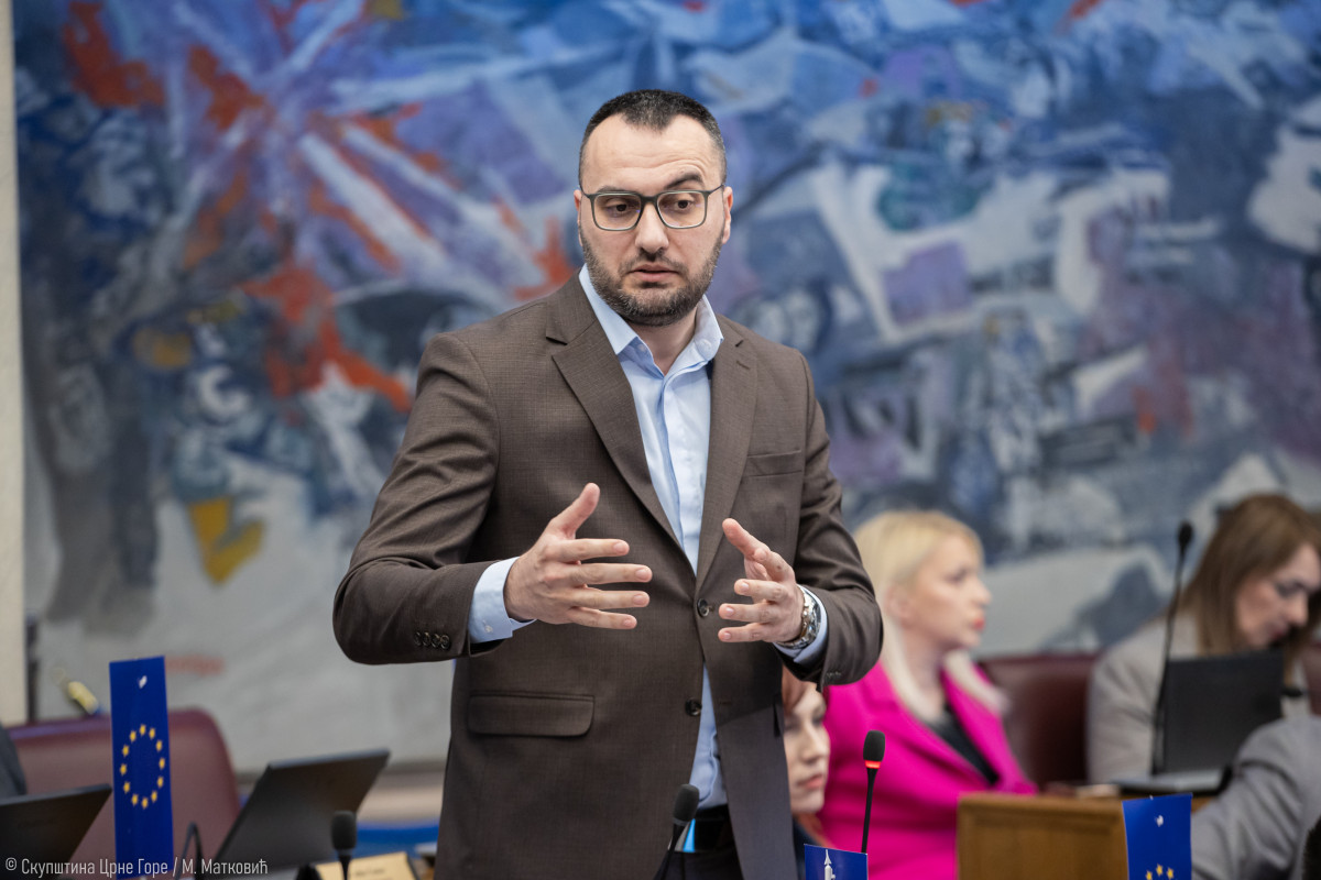 duskoo stjepovic