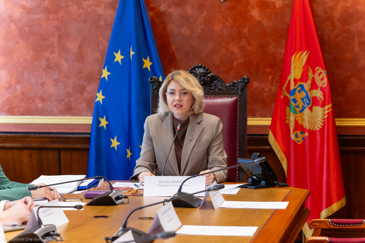 jelena bozoviccc