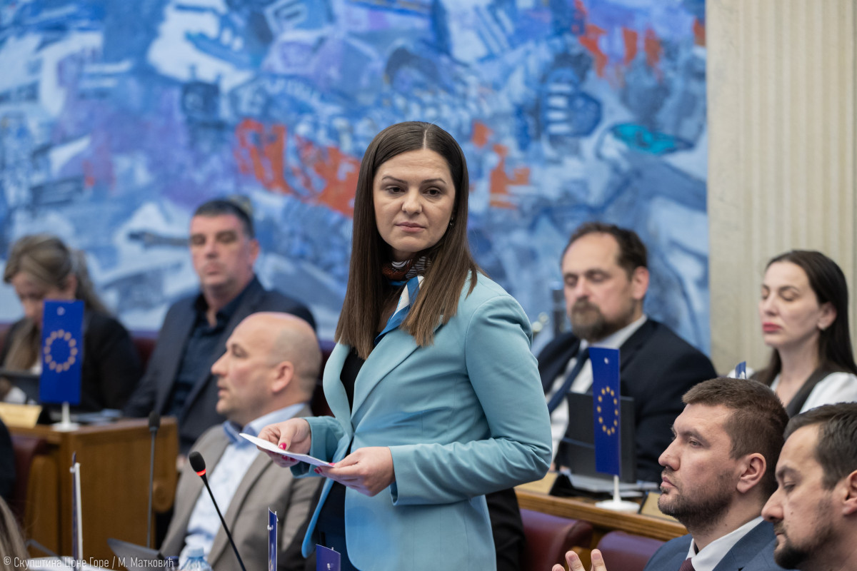 jelenka andricc