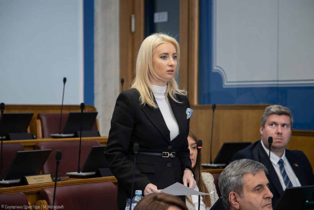 Gorčević: Odluka o zatvaranju pregovaračkih poglavlja zavisi od konsenzusa zemalja članica